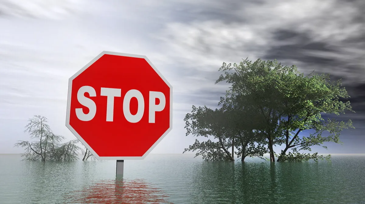 Understanding Medicare Special Enrollment Periods in Minnesota